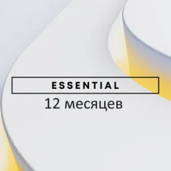 Подписка PlayStation Plus Essential 12 месяцев