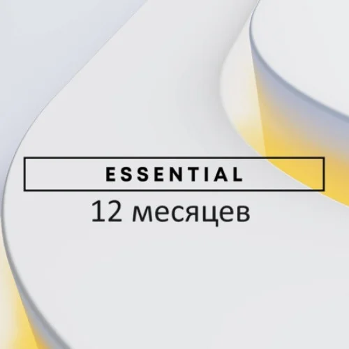 Подписка PlayStation Plus Essential 12 месяцев