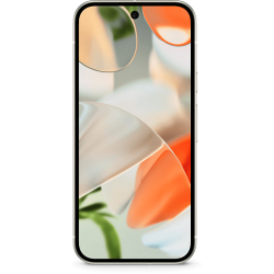 Google Pixel 9 12/128 ГБ (Фарфоровый)