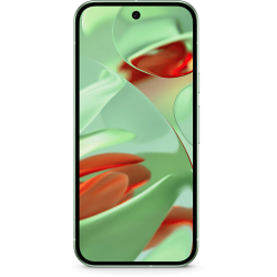 Google Pixel 9 12/128 ГБ (Зеленый)