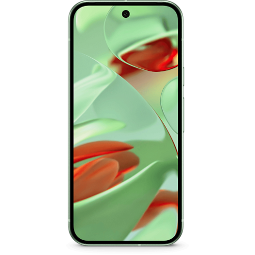 Google Pixel 9 12/128 ГБ (Зеленый)