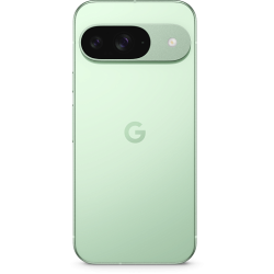 Google Pixel 9 12/128 ГБ (Зеленый)