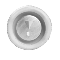 JBL Flip 6 (Белая)