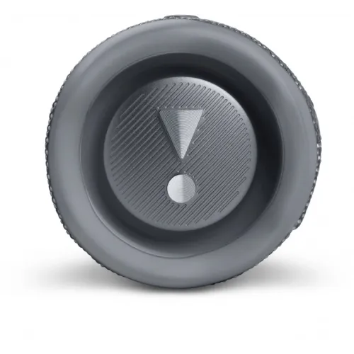 JBL Flip 6 (Серая)