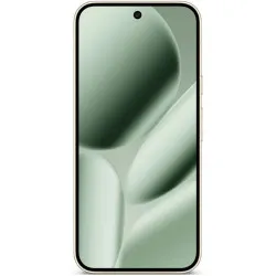 Google Pixel 10 Pro 16/128 ГБ (Зелёный)