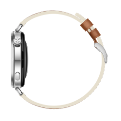 HUAWEI WATCH GT 6 41 мм Коричневый