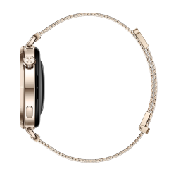 HUAWEI WATCH GT 6 41 мм Золотой