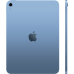 iPad 11 (2025) 128 ГБ Wi-Fi (Голубой)