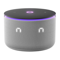 Яндекс Станция Мини 3 Про (Серая)