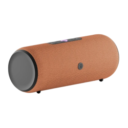 Яндекс Станция Стрит (Оранжевая)