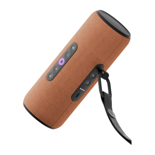 Яндекс Станция Стрит (Оранжевая)