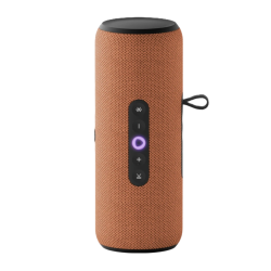 Яндекс Станция Стрит (Оранжевая)