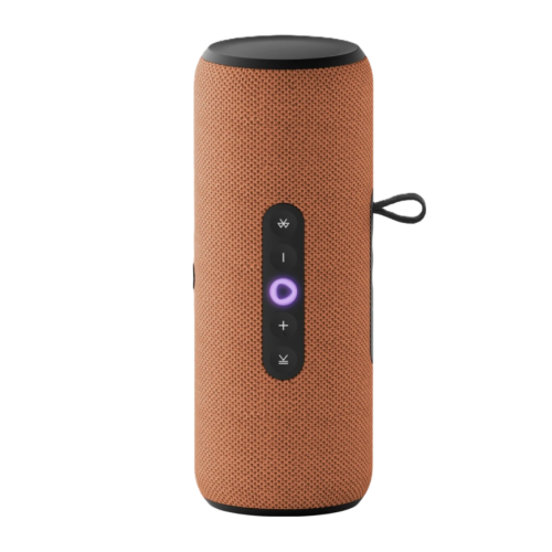 Яндекс Станция Стрит (Оранжевая)