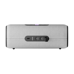 Яндекс Станция Стрит (Серая)