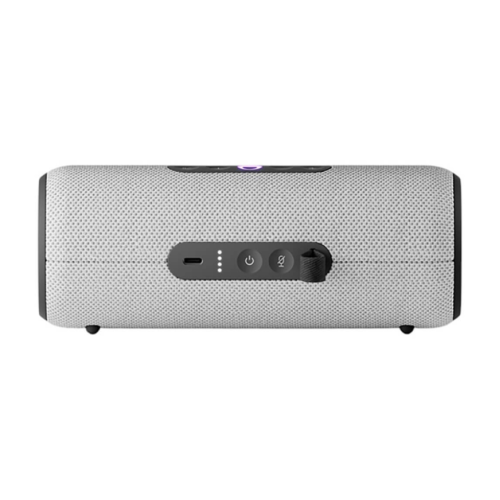 Яндекс Станция Стрит (Серая)