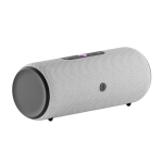 Яндекс Станция Стрит (Серая)