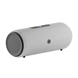 Яндекс Станция Стрит (Серая)