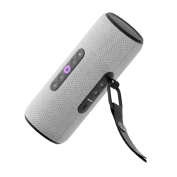 Яндекс Станция Стрит (Серая)