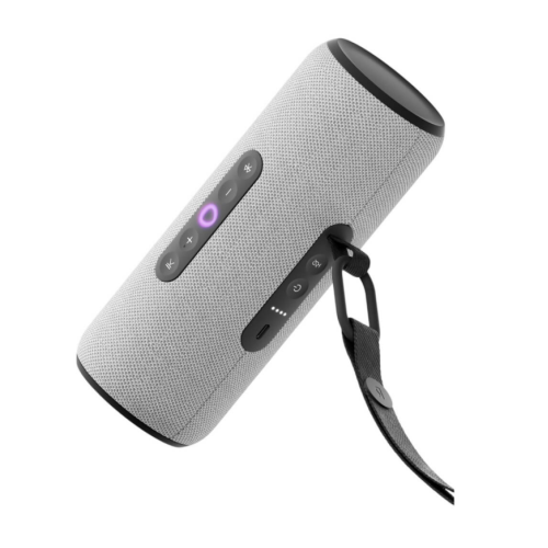 Яндекс Станция Стрит (Серая)