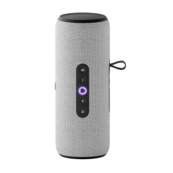 Яндекс Станция Стрит (Серая)