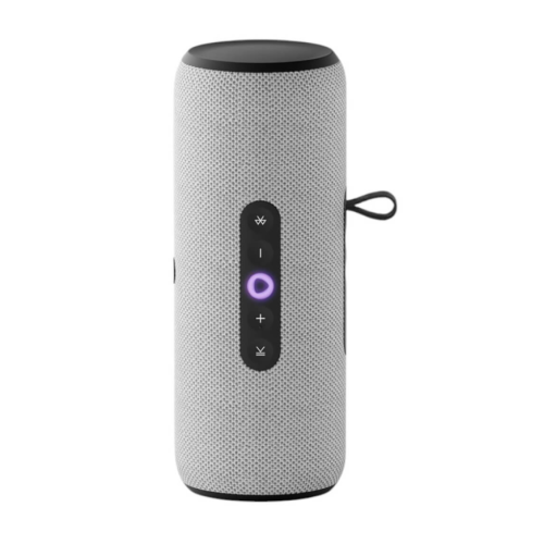 Яндекс Станция Стрит (Серая)