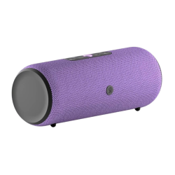 Яндекс Станция Стрит (Фиолетовая)